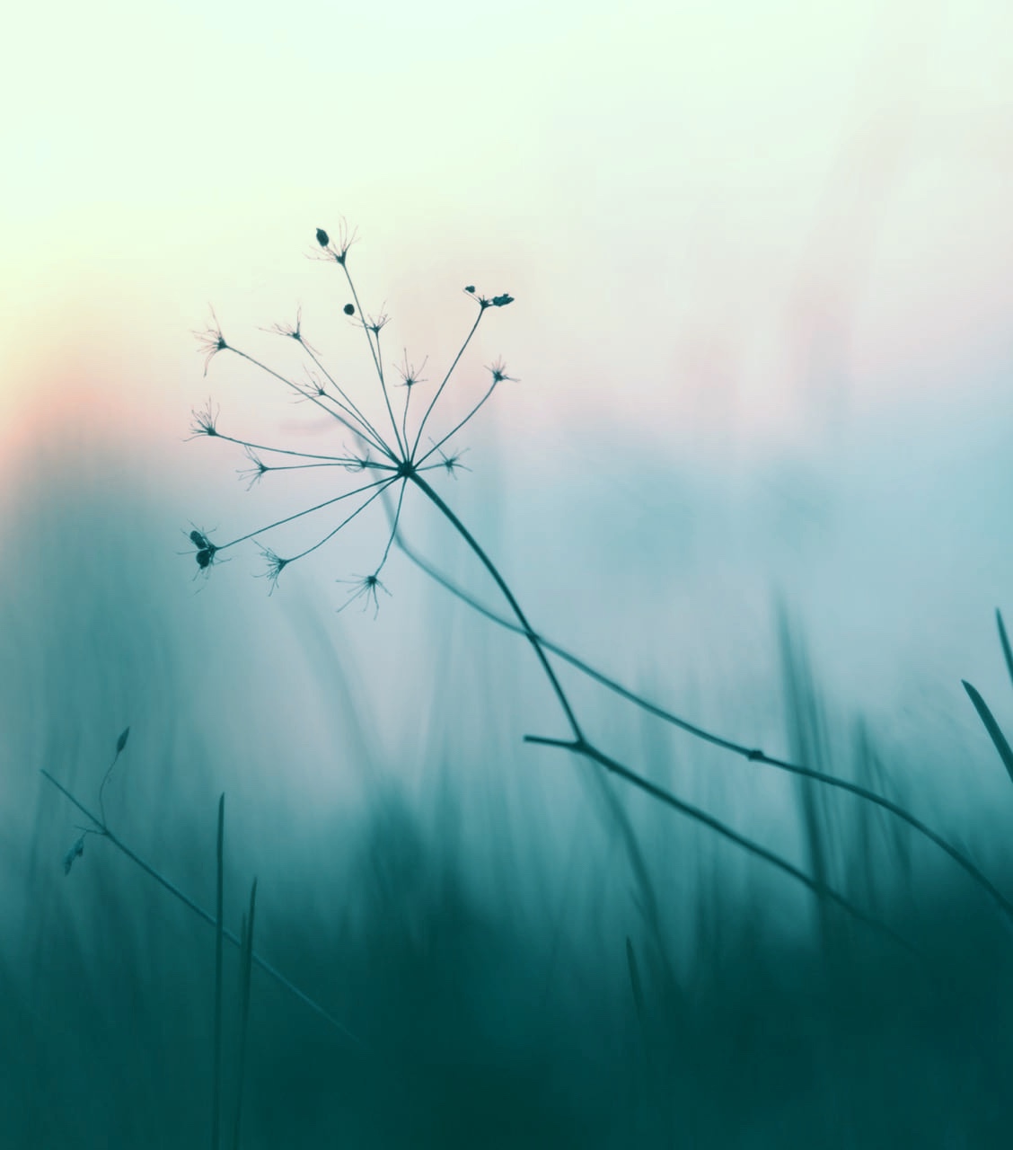 stones stacked up on a beach